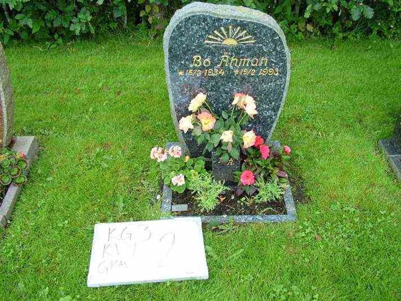 Gravnummer: 3 09     2