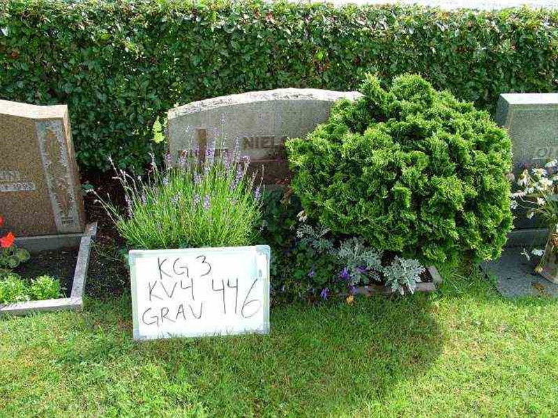 Hautatunnus: 3 04   446