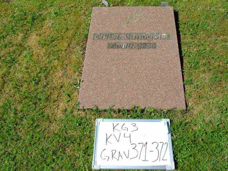 Hautatunnus: 3 04   371-372