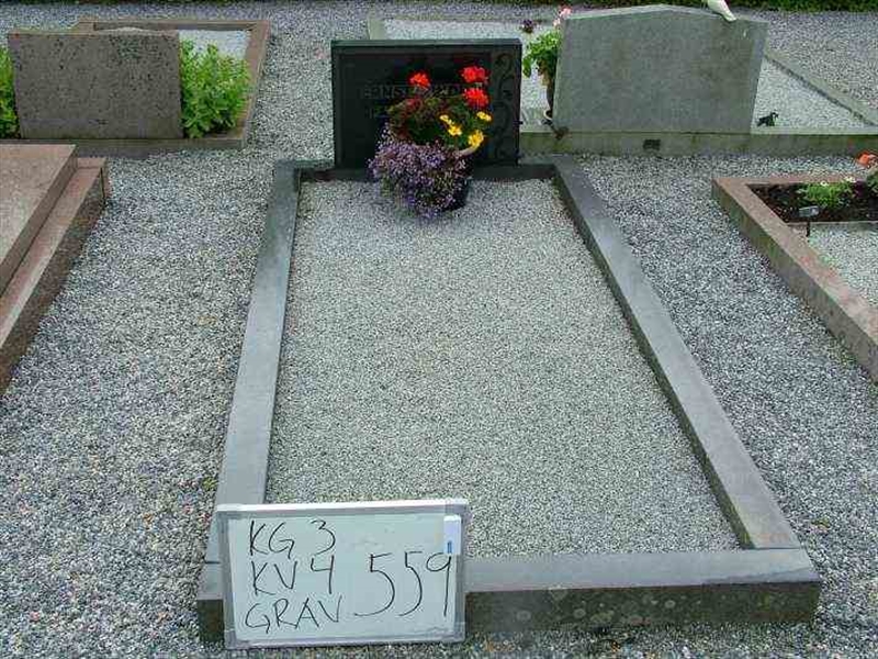 Hautatunnus: 3 04   559