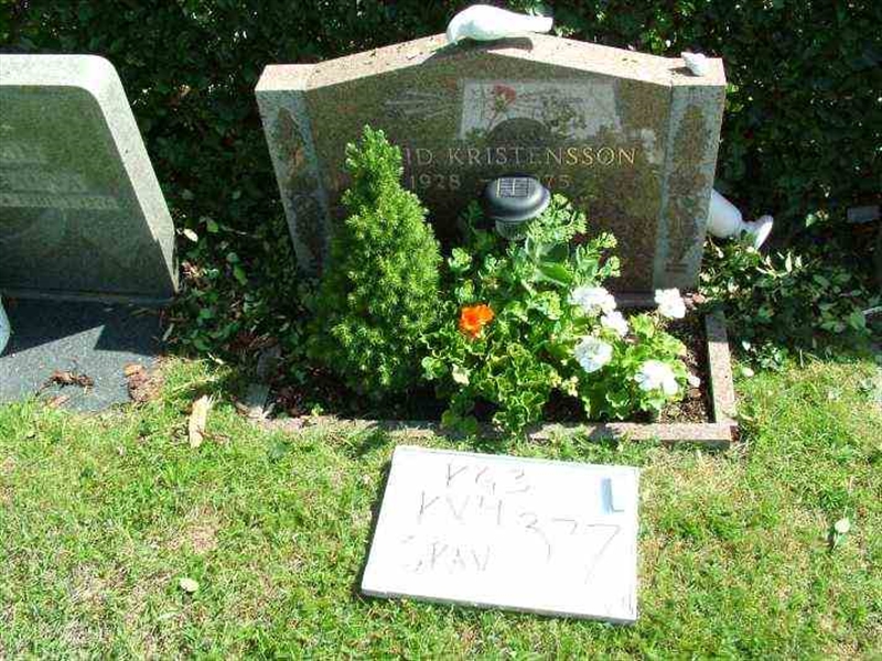 Hautatunnus: 3 04   377