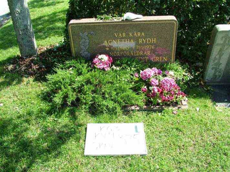 Gravnummer: 3 04   375