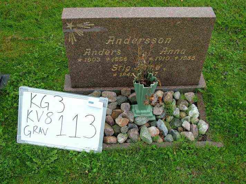 Gravnummer: 3 08   113