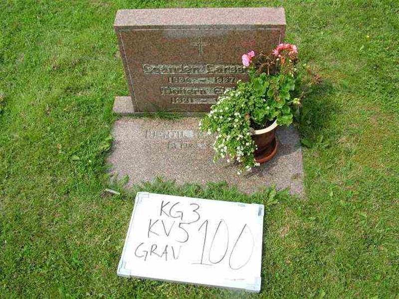 Gravnummer: 3 05   100