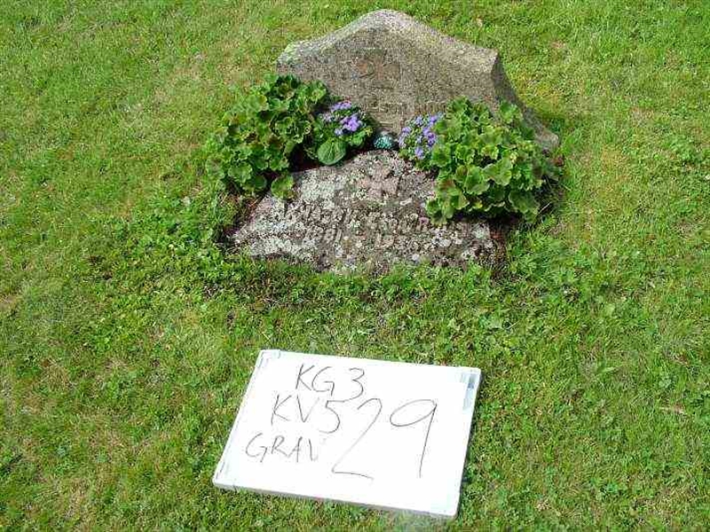 Gravnummer: 3 05    29