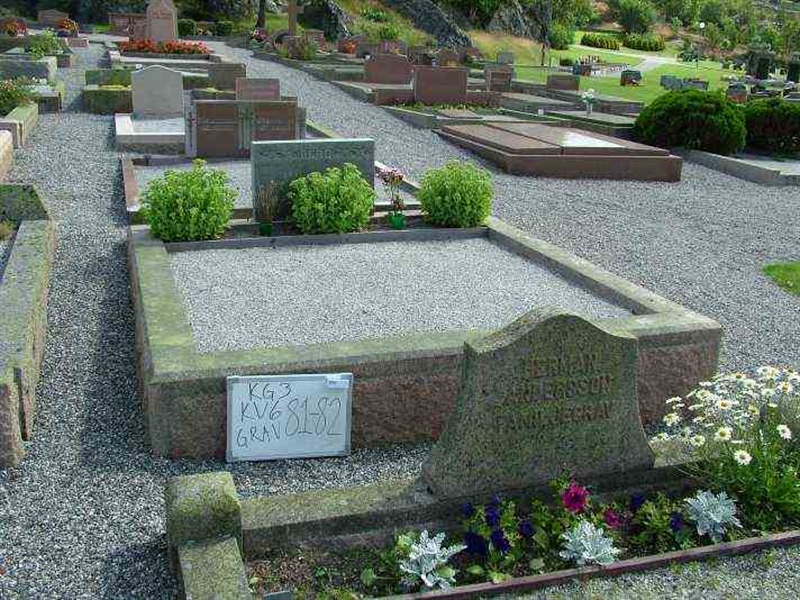 Gravnummer: 3 06    81-82