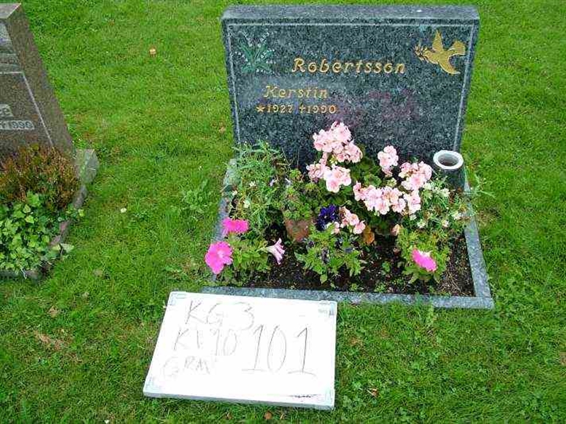 Gravnummer: 3 10   101