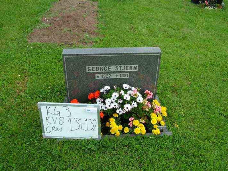 Hautatunnus: 3 08   131-132