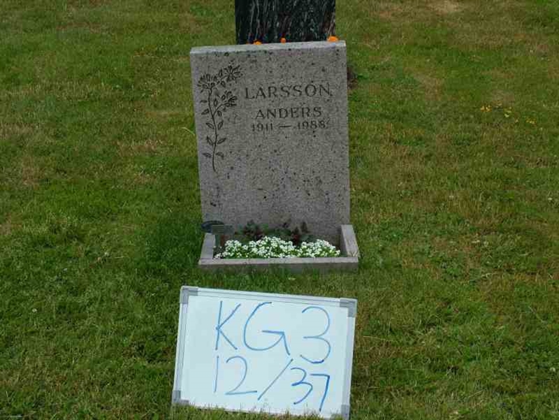 Gravnummer: 3 12    37