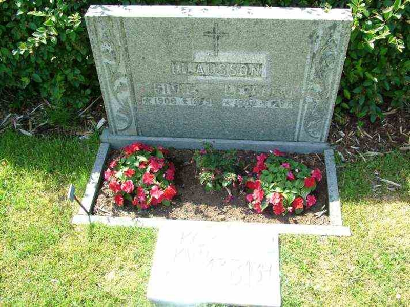 Hautatunnus: 3 04   133-134