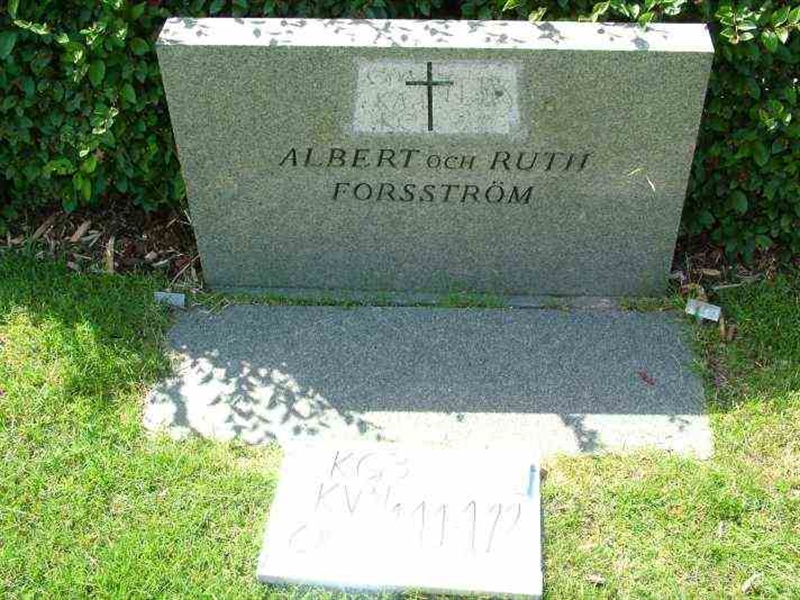 Hautatunnus: 3 04   111-112