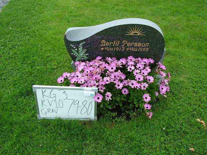 Gravnummer: 3 10    79-80