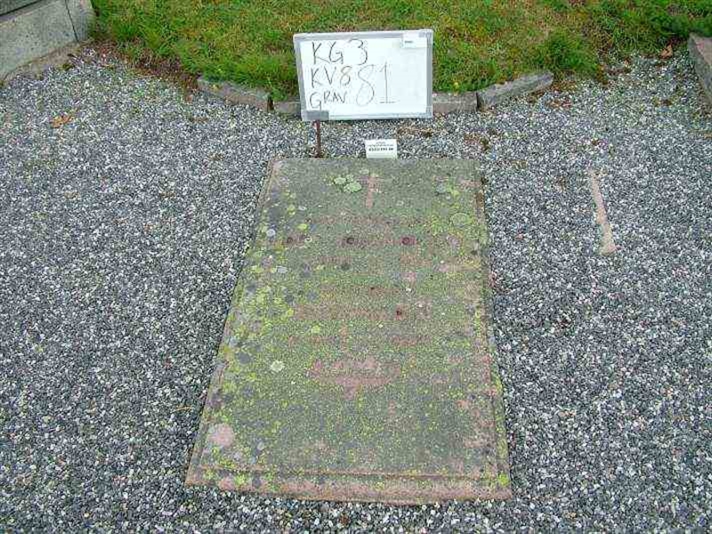 Hautatunnus: 3 08    81