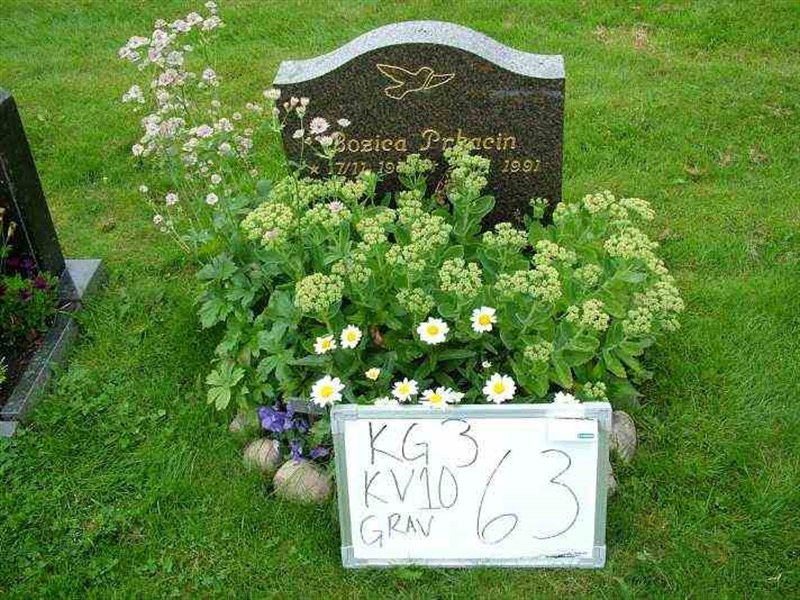 Gravnummer: 3 10    63