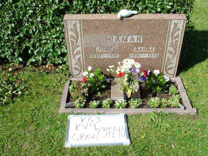 Gravnummer: 3 04   239-240