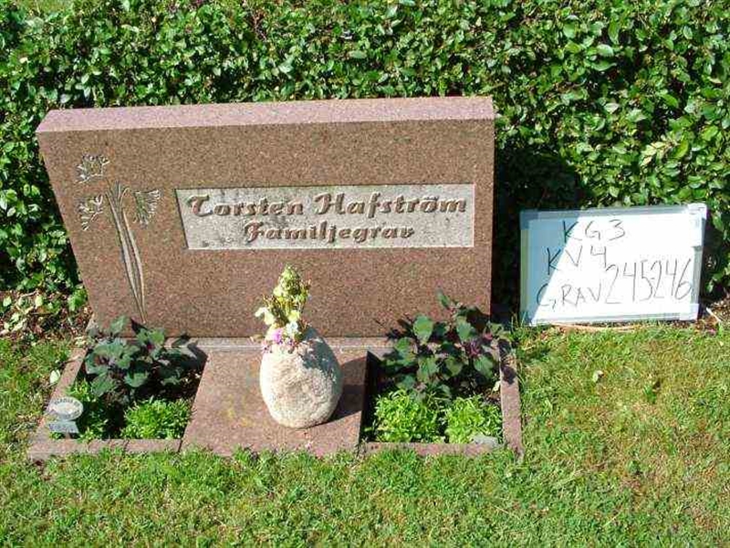 Hautatunnus: 3 04   245-246