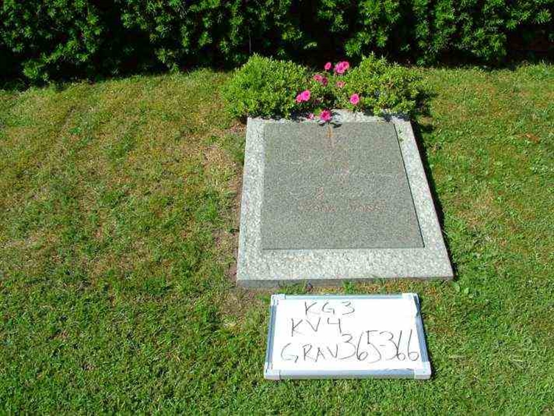 Hautatunnus: 3 04   365-366