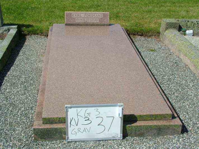 Gravnummer: 3 03    37