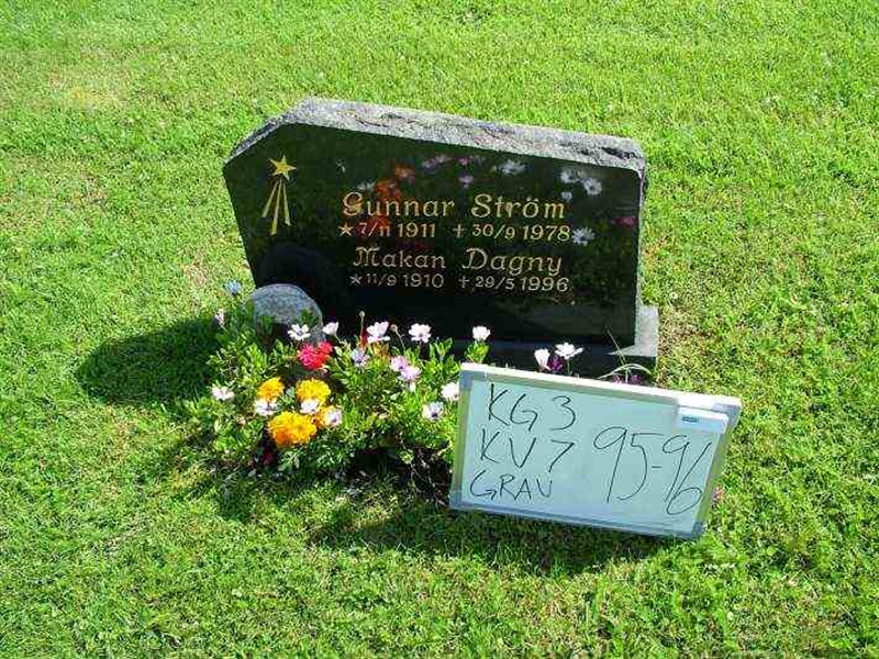 Gravnummer: 3 07    95-96