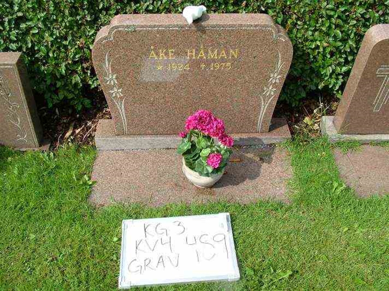 Hautatunnus: 3 04   489