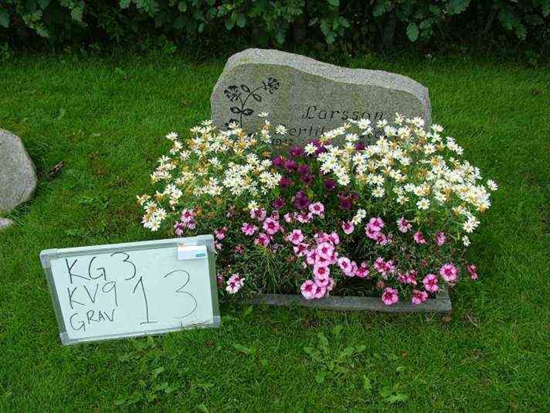 Gravnummer: 3 09    13