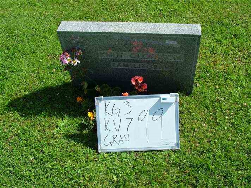 Gravnummer: 3 07    99-100