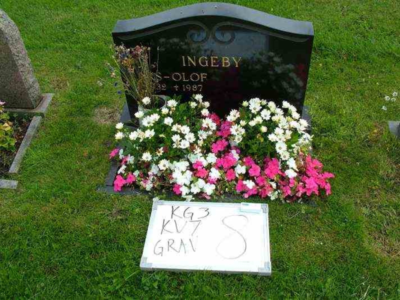 Gravnummer: 3 07     8