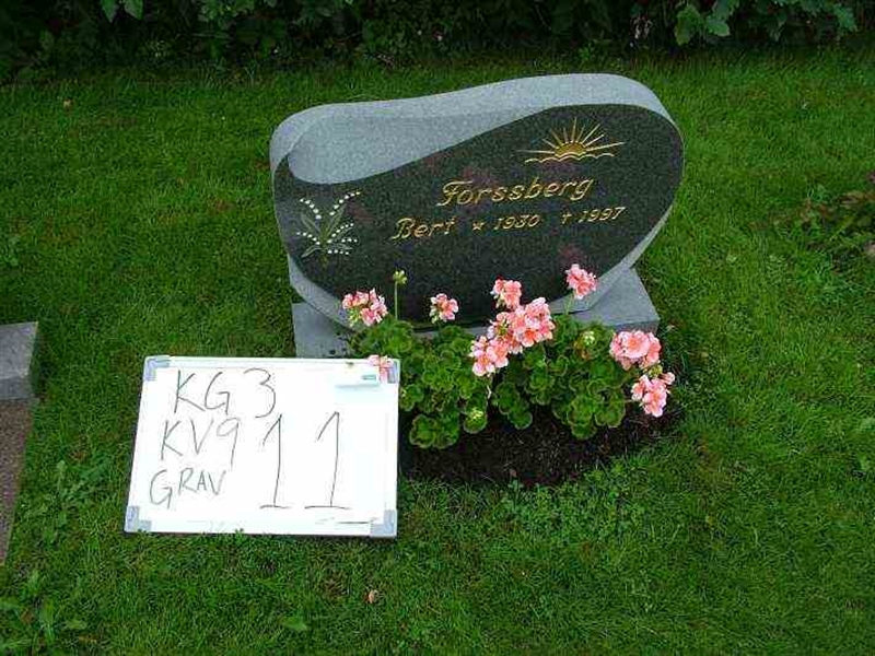 Gravnummer: 3 09    11