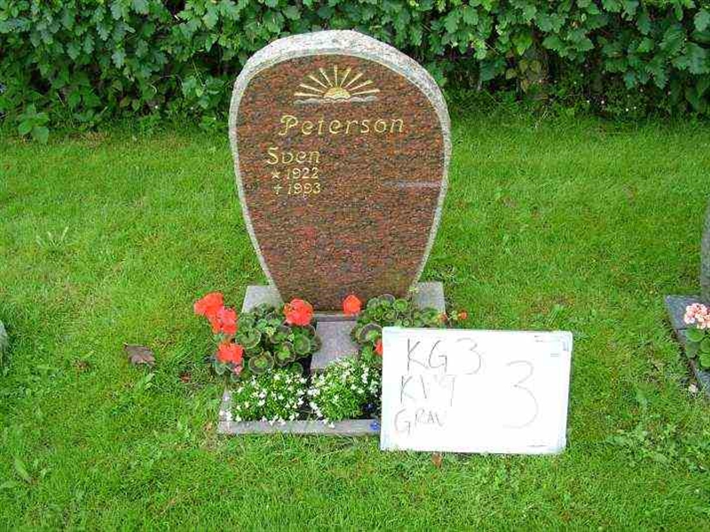 Gravnummer: 3 09     3