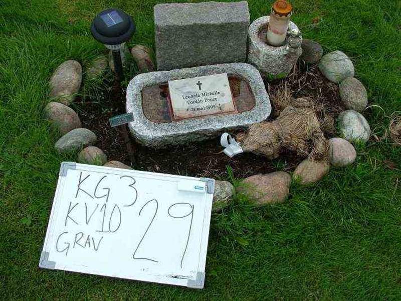 Gravnummer: 3 10    29