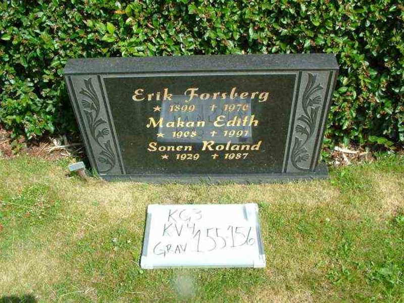 Hautatunnus: 3 04   155-156