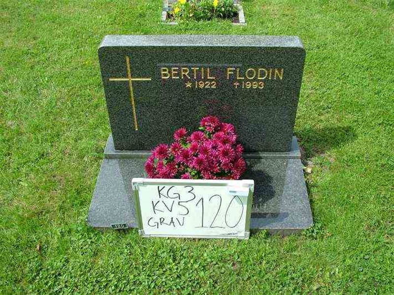 Gravnummer: 3 05   120