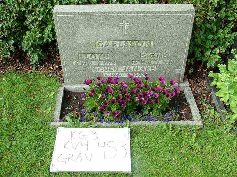 Gravnummer: 3 04   483