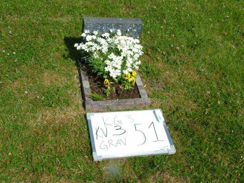 Gravnummer: 3 03    51