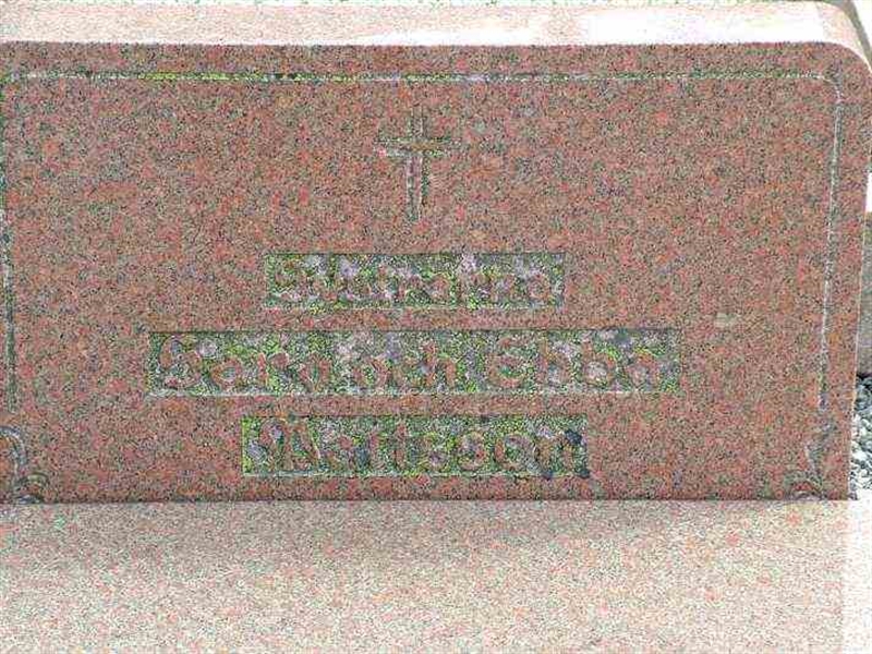 Gravnummer: 3 06   110