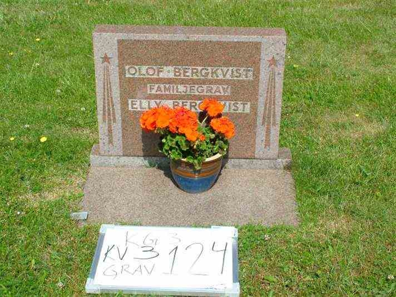 Gravnummer: 3 03   124