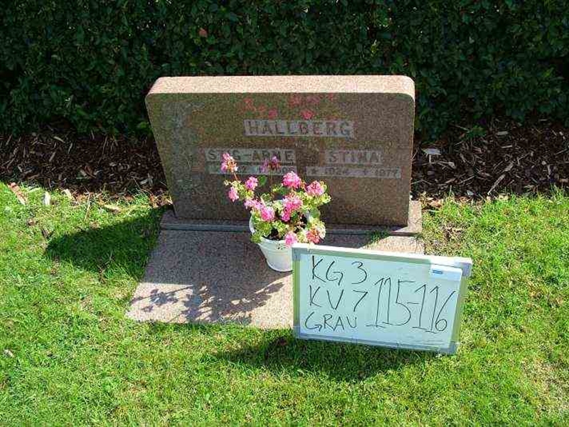 Gravnummer: 3 07   115-116