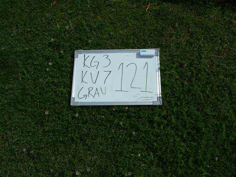 Gravnummer: 3 07   120-121