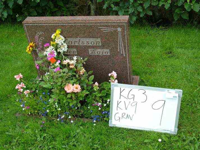 Gravnummer: 3 09     9