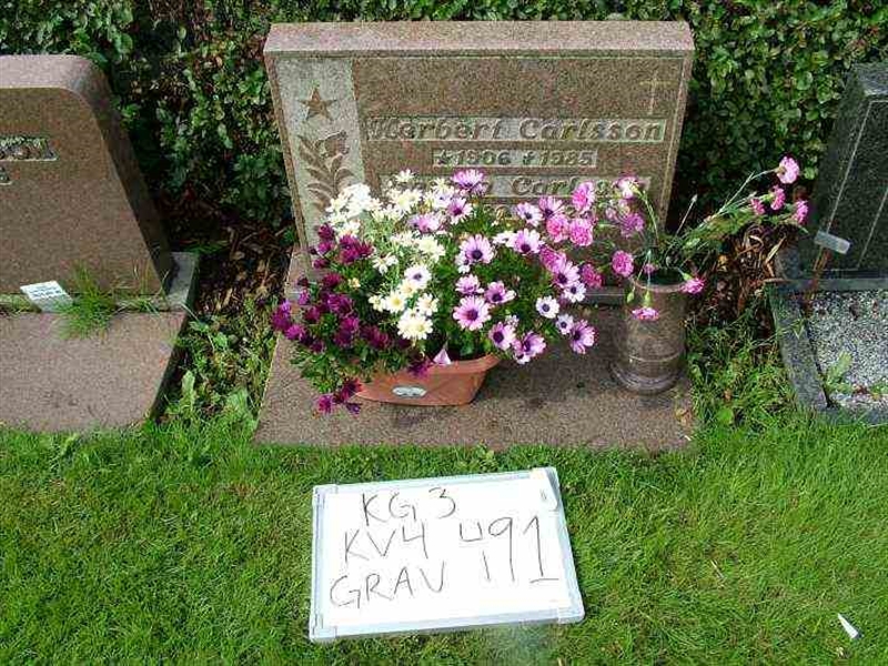 Gravnummer: 3 04   491