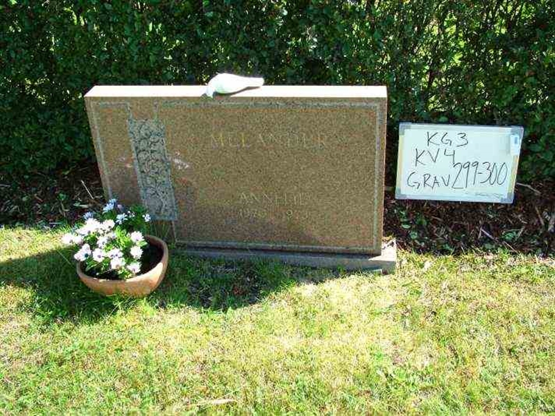 Hautatunnus: 3 04   299-300