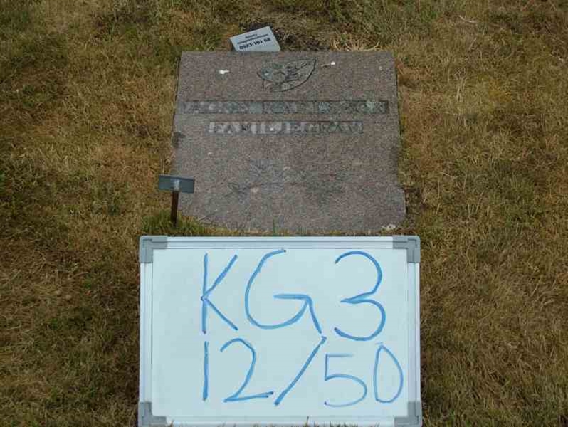 Gravnummer: 3 12    50