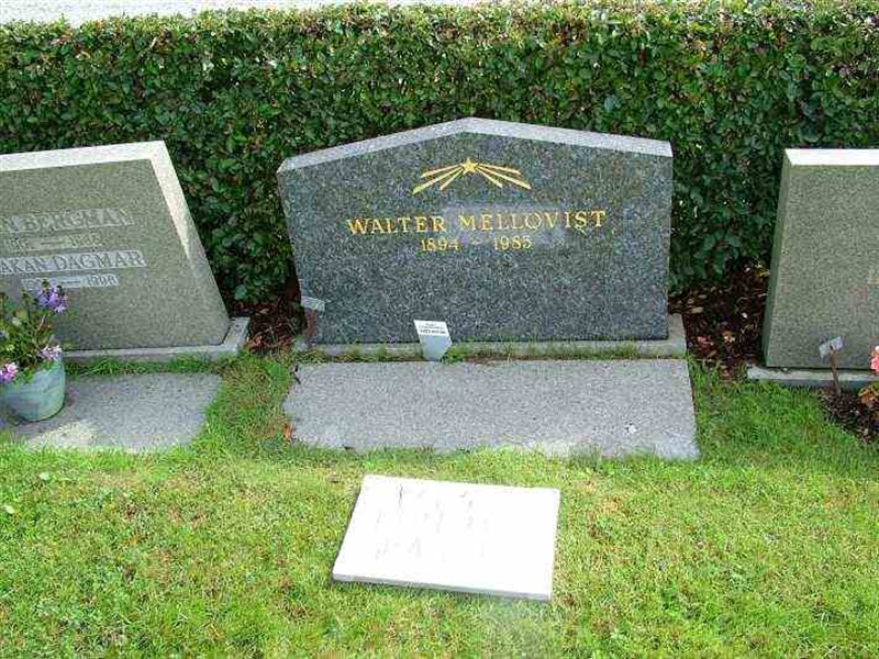 Hautatunnus: 3 04   450