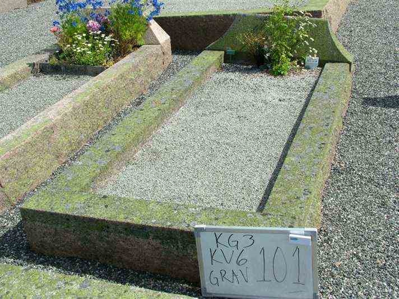 Gravnummer: 3 06   101