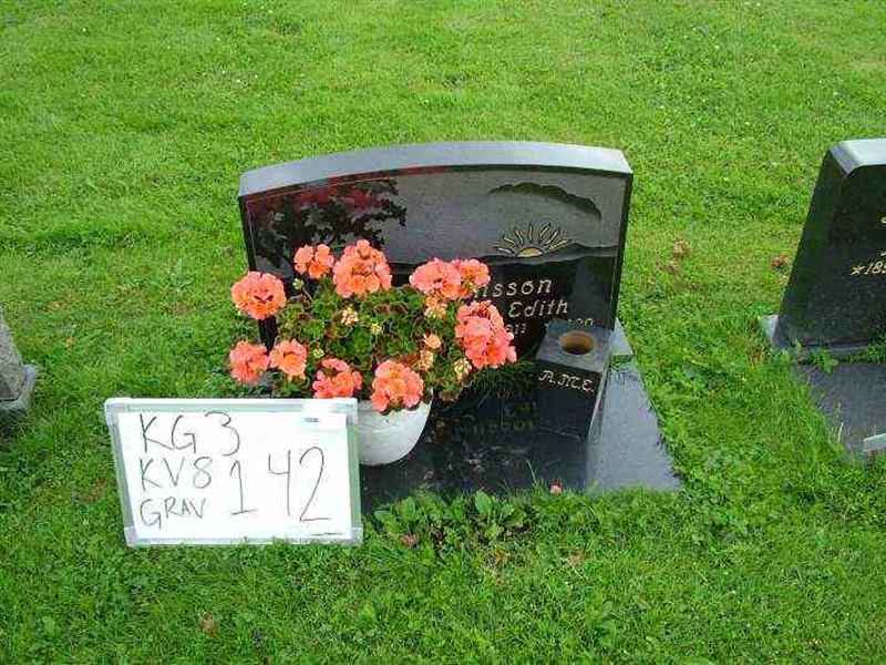 Gravnummer: 3 08   142