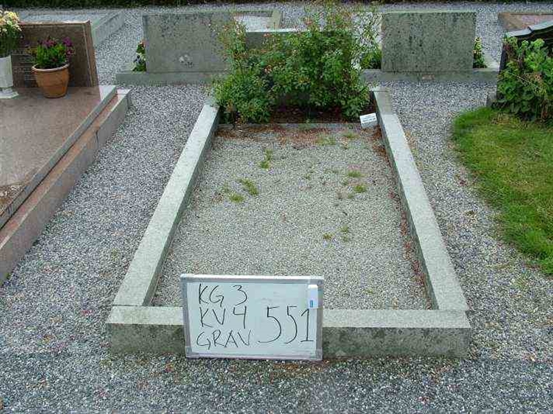 Gravnummer: 3 04   551