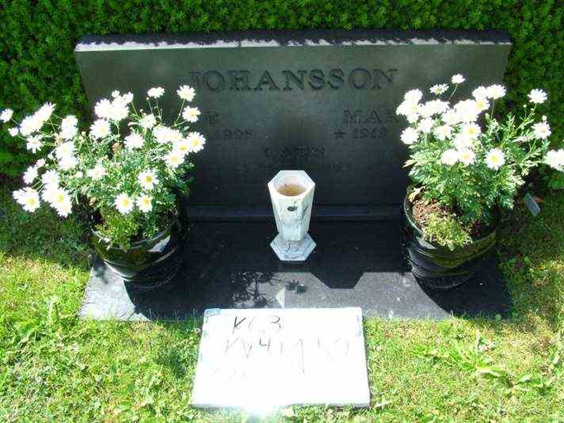 Hautatunnus: 3 04    51-52