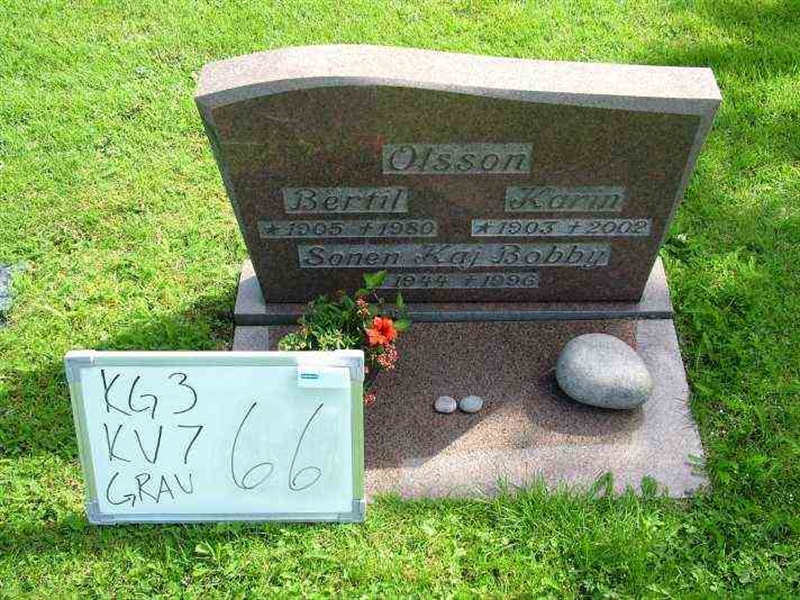 Gravnummer: 3 07    66