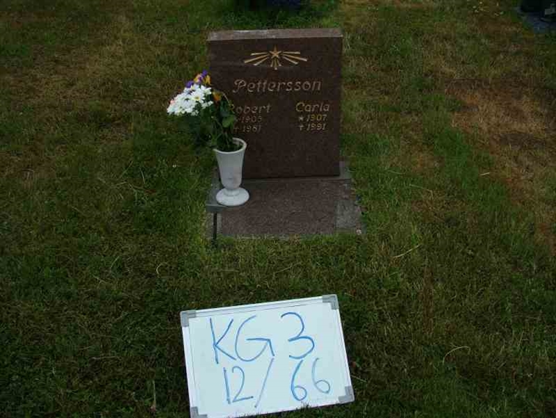 Gravnummer: 3 12    66