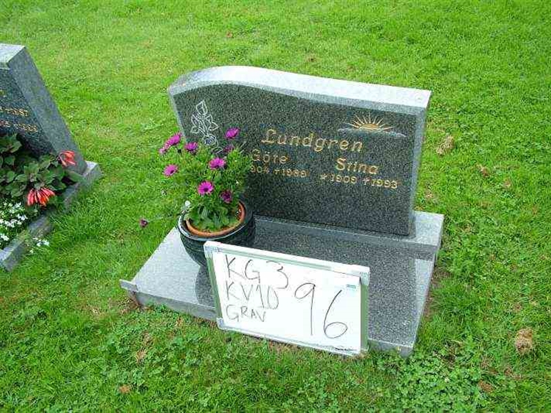 Gravnummer: 3 10    96